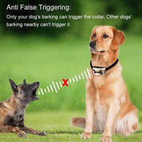 img 3 attached to 🐶 2022 Upgrade Version Rechargeable No Bark Collar for Dogs - Amazingbuy Anti-Bark Training Collar with Beep, Vibration, Safe Shock, and Adjustable Sensitivity - Reflective Collar for Small, Medium, and Large Dogs