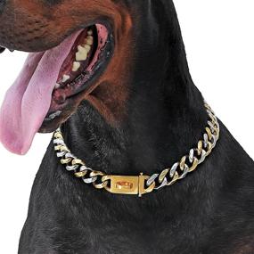 img 4 attached to 🐶 Pet State 19mm Gold Dog Collar: Cuban Link Design with Snap Buckle, Extra-Thick 18K Gold Plating on 316L Martingale Stainless Steel - Perfect Heavy Duty Pitbull Collar for All Sized Dogs