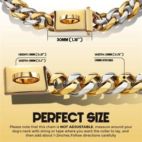 img 2 attached to 🐶 Pet State 19mm Gold Dog Collar: Cuban Link Design with Snap Buckle, Extra-Thick 18K Gold Plating on 316L Martingale Stainless Steel - Perfect Heavy Duty Pitbull Collar for All Sized Dogs