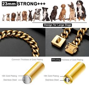 img 3 attached to 🐶 BMusdog Gold Chain Dog Collar: Premium 23MM Heavy Duty Thick 18K Cuban Link Stainless Steel Collar for Medium to Large Dogs - Great for Walking, Training, and Style!