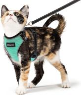 🐈 ipravoci cat harness and leash set - escape proof vest harness for cats - adjustable & reflective walking accessory for small, medium, large cats - soft & breathable full body harness for cat & puppy логотип