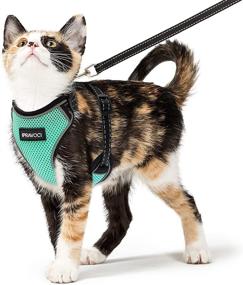 img 4 attached to 🐈 IPRAVOCI Cat Harness and Leash Set - Escape Proof Vest Harness for Cats - Adjustable & Reflective Walking Accessory for Small, Medium, Large Cats - Soft & Breathable Full Body Harness for Cat & Puppy