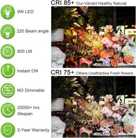 img 3 attached to 💡 Energy-Efficient Non-Dimmable Daylight LED Lightbulbs