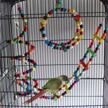qbleev climbing colorful cockatiel parakeet logo