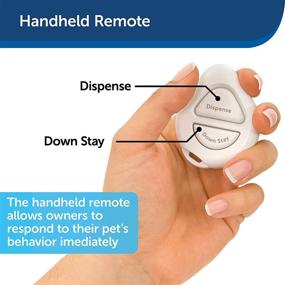 img 2 attached to PetSafe Manners Minder Remote Trainer