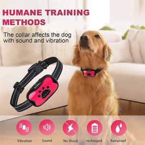 img 1 attached to 🐶 MASBRILL Rechargeable Bark Collar for Small Dogs - Humane & Effective Training Collar with Vibration & Beep, No Shock