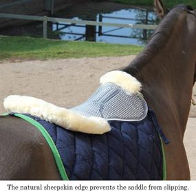 img 3 attached to Saddle Pad Equestrian Competence Horse Protective Therapeutic