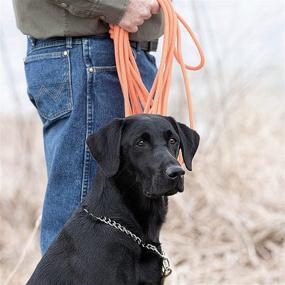 img 2 attached to 🏊 30-Foot Long Orange Check Cord by SportDOG Brand - Lightweight yet Strong Training Tool - High Visibility and Buoyant