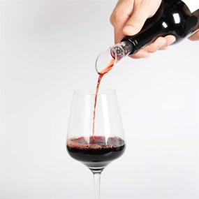 img 3 attached to Aibrisk Wine Aerator Pourer 2-Pack: 🍷 Enhance Your Wine's Taste with Premium Decanter Spout