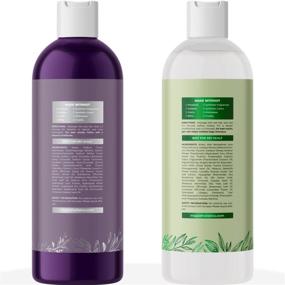 img 3 attached to 🧴 Dry Scalp Shampoo and Conditioner Set: Ultimate Care for Build Up and Flaky Scalp - Sulfate Free & Color Safe - Ideal for Damaged, Dry Hair