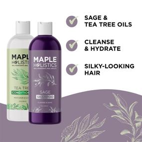 img 1 attached to 🧴 Dry Scalp Shampoo and Conditioner Set: Ultimate Care for Build Up and Flaky Scalp - Sulfate Free & Color Safe - Ideal for Damaged, Dry Hair