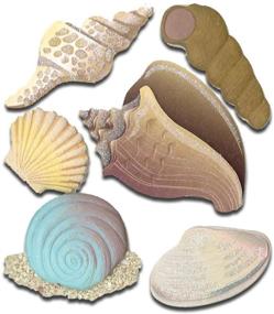 img 1 attached to Jolees Boutique Dimensional Stickers Seashells