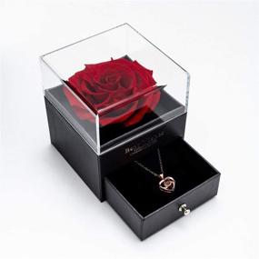 img 4 attached to 🌹 Handcrafted Preserved Real Rose Eternal with Love You Necklace - 100 Languages Gift. Enchanted Real Rose Flower for Valentine's Day, Anniversary, Wedding. Romantic Gifts for Her.