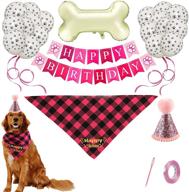 sgqcar birthday supplies balloons decoration логотип