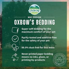 img 3 attached to 🐇 Oxbow Pure Comfort Bedding for Small Animals - Advanced Odor & Moisture Absorption, Dust-Free