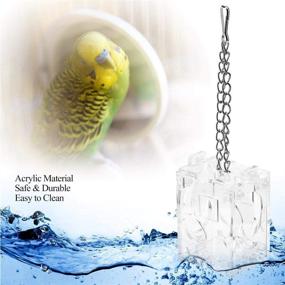 img 2 attached to 🐦 Enhance Intelligence and Growth with Mess-Free Parrot Feeder Toys: Acrylic Hanging Foraging Toy for Cockatiels, Parakeets, and Pet Birds - Cage Accessories Included!