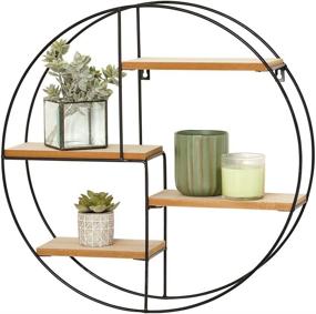 img 1 attached to mDesign Round Metal Wall Mount Display Organizer Holder – 📌 4 Shelf for Small Collectibles, Figurines, Mugs, Succulent Plants – Black/Natural