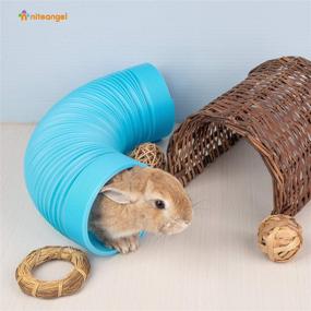 img 3 attached to 🐹 Niteangel Fun Tunnel with 3 Pack Play Balls: Ideal for Guinea Pigs, Chinchillas, Rats, and Dwarf Rabbits - Boost Your Pet's Excitement!