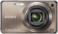 sony cyber-shot dsc-w290 12 mp digital camera with 5x optical zoom and super steady shot image stabilization (bronze) logo
