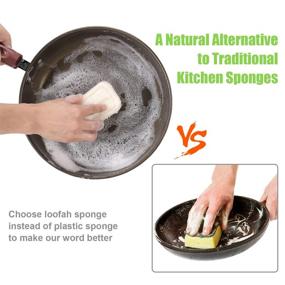 img 1 attached to 🌿 Biodegradable Loofah Dish Sponges – Natural Eco-Friendly Dishwashing Scrubbers (5 Pack)