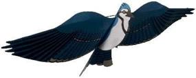 img 2 attached to 🪁 High-Quality Jackite Assembled Blue Jay Bird Kite & Wind Sock Combo: Perfect for Outdoor Fun and Decor