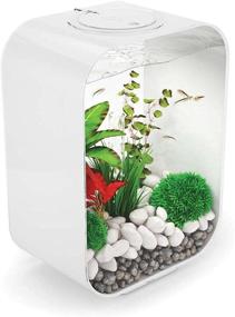 img 3 attached to 🐠 Black 4-Gallon Life 15 Aquarium with LED Light