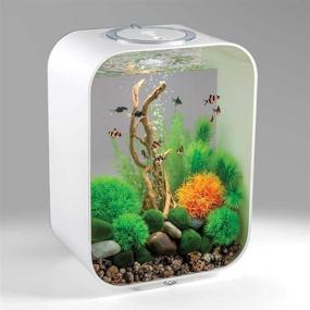 img 2 attached to 🐠 Black 4-Gallon Life 15 Aquarium with LED Light