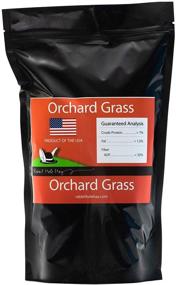img 2 attached to Ultra Premium Hand Packed Soft Orchard Grass by Rabbit Hole Hay - Ideal for Small Pet Rabbits, Chinchillas, and Guinea Pigs