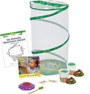 🐛 insect lore butterfly pavilion caterpillar kit logo