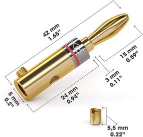 img 2 attached to 🔌 KabelDirekt – Банановые штекеры – 5 пар (для акустического кабеля, AWG 10-16, улучшение акустических соединений, усилители, аудио/видео ресиверы, мощные усилители и стереосистемы, крепежные винты, покрытие золотом)