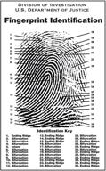 crime scene 4331021263 fingerprint chart logo