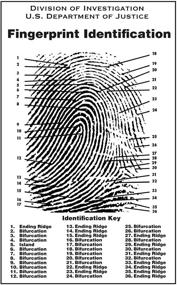 img 1 attached to Crime Scene 4331021263 Fingerprint Chart