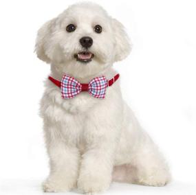 img 2 attached to 10-Pack of Adjustable Pet Puppy Dog Cat Bow Ties in Classic Plaid Style - Essential Grooming Accessories for Pets