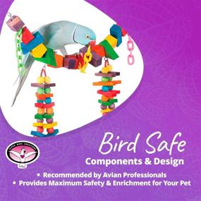 img 2 attached to 🐦 SB449 Rainbow Bridge Jr. Chewable Wooden Bird Toy with Colorful Blocks and Beads, Medium Size, 18” x 3” x 7” by Super Bird Creations