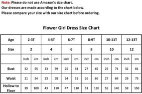 img 1 attached to ABAO SISTER Princess Shoulder Communion Girls' Clothing for Dresses