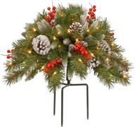 🎄 national tree 18 inch frosted urn filler: cones, red berries, tripod stake, led lights with timer (frb-300-18u-b) logo