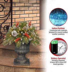 img 2 attached to 🎄 National Tree 18 Inch Frosted Urn Filler: Cones, Red Berries, Tripod Stake, LED Lights with Timer (FRB-300-18U-B)