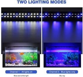 img 3 attached to 🐠 Docean Aquarium Light: Adjustable Fish Tank Light Hood with Extendable Brackets - Blue and White 12W - Perfect Fit for 11.42 Inch to 18.8 Inch Plants and Fish Tanks