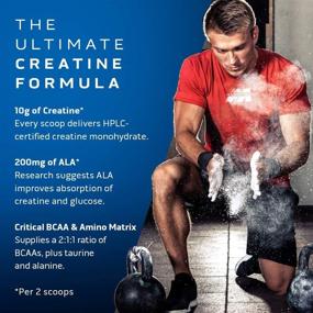 img 3 attached to MuscleTech Creatine Monohydrate, сертифицированный HPLC, улучшенный