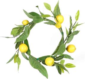 img 4 attached to 🍋 NMFIN Artificial Lemon Garland Decoration for Better Home Décor, Handmade Simulation Flower Wreath for Front Door Hanging, Perfect Wall Party Festive Supplies and Photo Prop