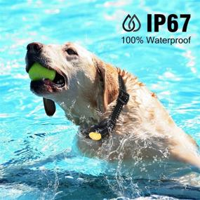 img 1 attached to Casfuy Dog Training Collar with Remote - 1000ft Range Electric Shock Collar for 2 Dogs: Rechargeable, Waterproof, Beep Vibration Shock: Small Medium Large Dogs