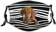 🐶 cute dachshund stripes face mask - reusable dog face cover for men & women | washable mouth cover with 2 filters | balaclava option logo