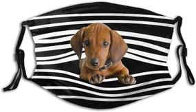 img 4 attached to 🐶 Cute Dachshund Stripes Face Mask - Reusable Dog Face Cover for Men & Women | Washable Mouth Cover with 2 Filters | Balaclava Option