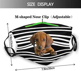 img 3 attached to 🐶 Cute Dachshund Stripes Face Mask - Reusable Dog Face Cover for Men & Women | Washable Mouth Cover with 2 Filters | Balaclava Option