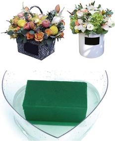 img 1 attached to Floral Foam Bricks: 6 PCS Styrofoam 🌸 Green Bricks for Flower Arrangements & Craft Supplies