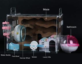 img 2 attached to 🐹 Nynelly Hamster Cage - Transparent and Durable Small Animal Cage with Hamster Maze, Exercise Wheel, Water Bottle, Hideout, and Food Bowl - Dimensions: 13" L x 11.4" W x 11.4" H