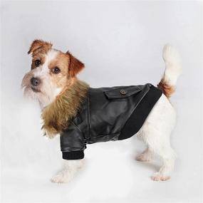 img 4 attached to Leather Motorcycle Waterproof Windproof Chihuahua