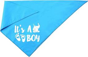 img 1 attached to 🐾 Pawskido It's A Boy Gender Reveal Dog Bandana: The Perfect Reversible Triangle Bib for Pregnancy Announcement Pet Scarf