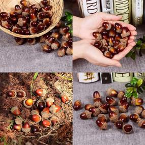 img 1 attached to 🌰 Yarssir Craft Желуди: 100 искусственных декоративных желудей для домашнего декора, вечеринок, свадеб - рождественские и благодарственные фестивали, 2 цвета (100 штук)