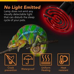 img 1 attached to 🔥 100W Ceramic Heat Emitter Reptile Heat Lamp Bulb for Pet Amphibians & Chicken Incubation - No Light Emitting, Brooder Coop Heater (1 Pack/2 Pack) with Thermometer - Black & White